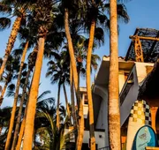 Cabo Surf Hotel & Spa hotel detail image 4