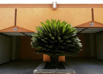 Hotel El Cason and Suites hotel thumbnail 8