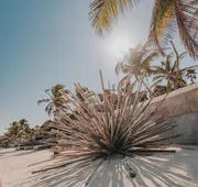 Papaya Playa Project, Tulum, a Member of Design Hotels hotel detail image 3