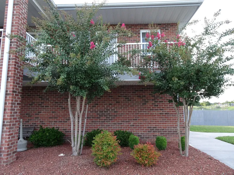Affordable Suites Kannapolis hotel detail image 2