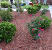 Affordable Suites Kannapolis hotel detail image 3