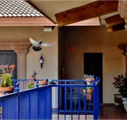 Hacienda Hotel hotel detail image 3