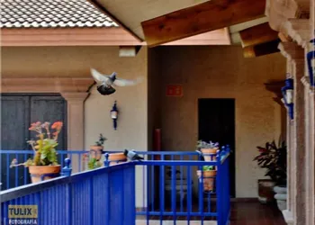 Hacienda Hotel hotel thumbnail 3