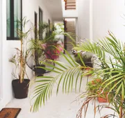 Great Villas Studios & Residences - The Kahlo hotel detail image 4