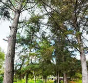 Villa Patzcuaro Garden Hotel & RV Park hotel detail image 4