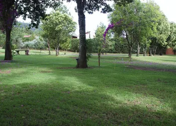 Villa Patzcuaro Garden Hotel & RV Park hotel thumbnail 5
