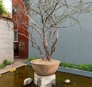 El Callejón Hotel Boutique hotel detail image 3