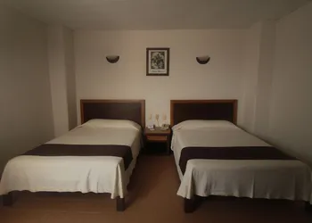 Hotel Plaza Independencia hotel thumbnail 6