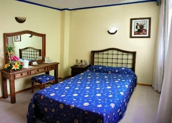 Hotel Plaza Independencia hotel thumbnail 7