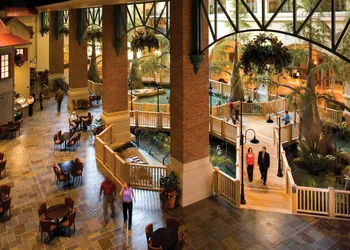Paragon Casino Resort hotel thumbnail 8