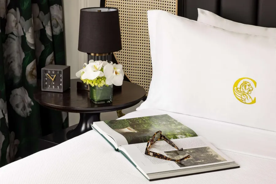 The Candler Hotel Atlanta, Curio Collection by Hilton hotel detail image 2