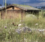 Mountain Village Lodge hotel detail image 3