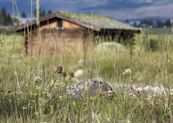 Mountain Village Lodge hotel thumbnail 3