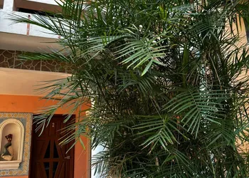 Francis Arlene - Adults Only hotel thumbnail 5