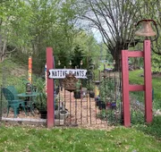 The Ashe Farm Bed & Breakfast hotel detail image 4