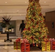 Sheraton Maria Isabel Mexico City Reforma hotel detail image 7