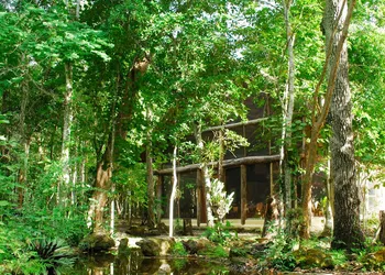 Hotel Puerta Calakmul hotel thumbnail 2