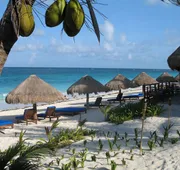 Hotel Sol Caribe hotel detail image 3