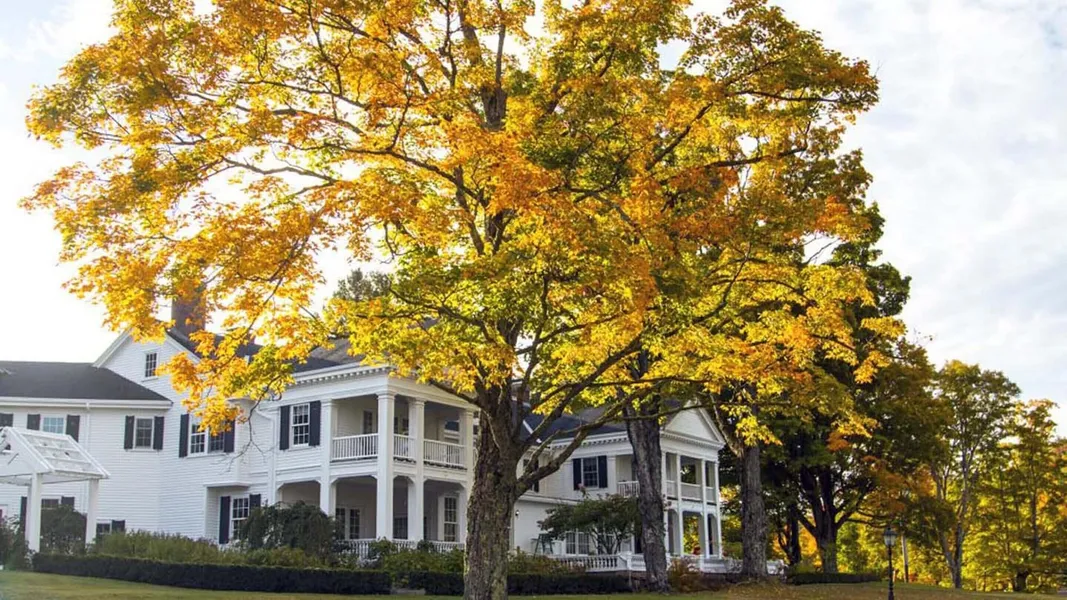 The White House Inn hotel detail image 6