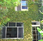 Hotel Don Nino hotel detail image 4
