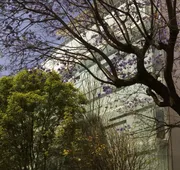 Habita, Mexico City, a Member of Design Hotels hotel detail image 4