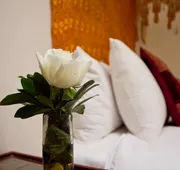 Hotel Boutique La Casa del Naranjo hotel detail image 4