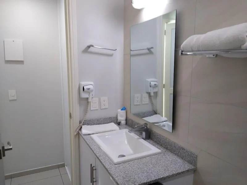 Suites Chapultepec hotel detail image 6