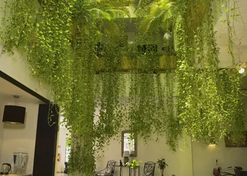 Hotel Los Itzaes by 5th av hotel thumbnail 5
