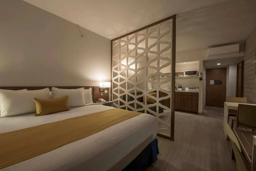Microtel Inn & Suites by Wyndham San Luis Potosi hotel detail image 6