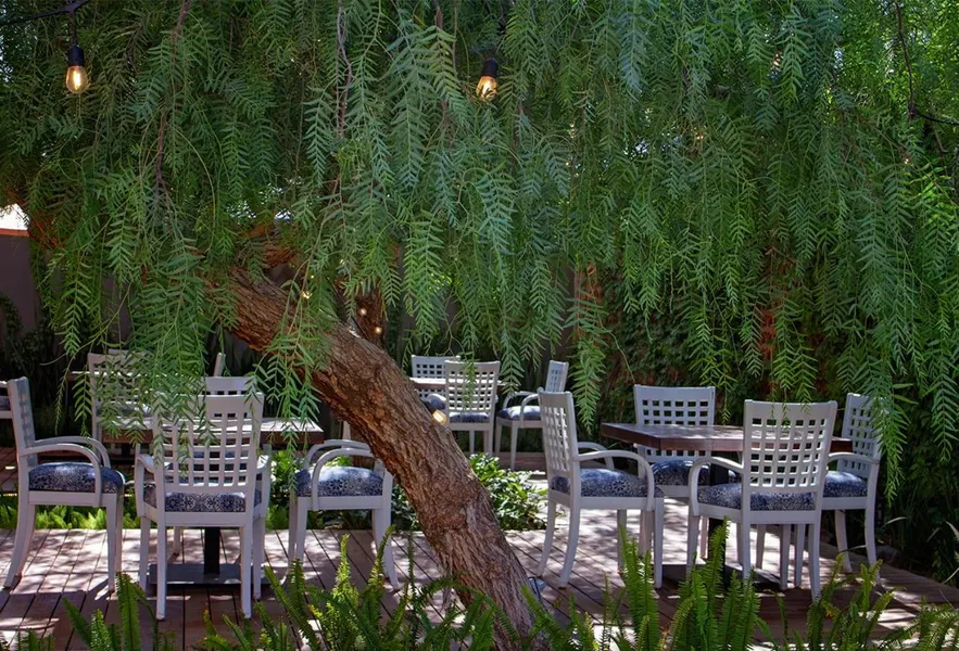 Alesia Hotel Boutique & Spa hotel detail image 6