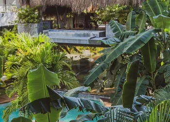 Xperience Tulum Hotel hotel thumbnail 5