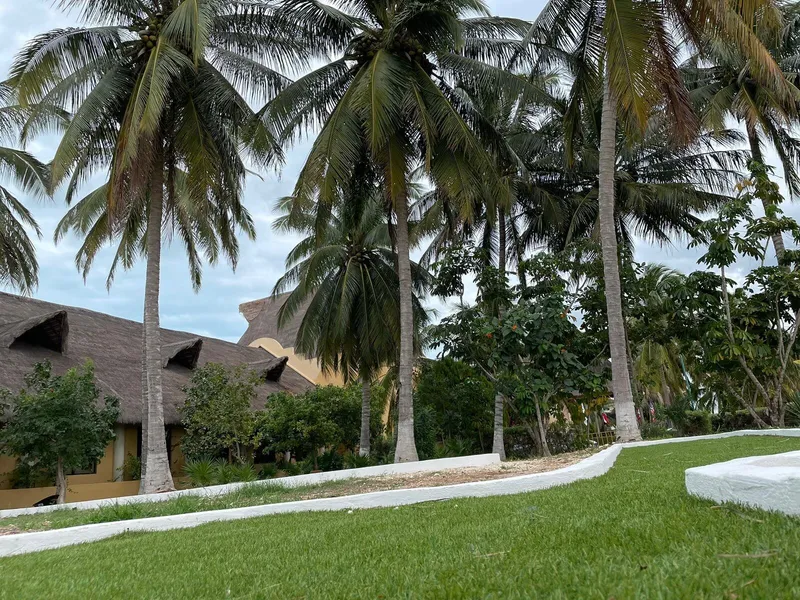 Reef Yucatan Hotel and Convention Center All Inclusive hotel detail image 6