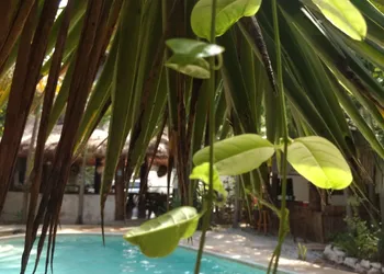 Green Tulum Cabañas & Gardens hotel thumbnail 6