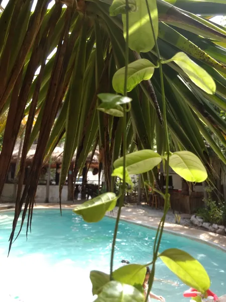 Green Tulum Cabañas & Gardens hotel detail image 6