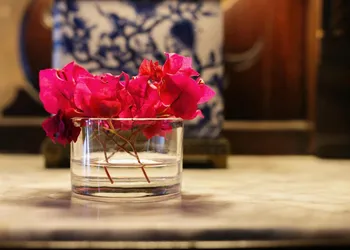 Villa Herencia Hotel hotel thumbnail 8