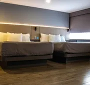 Hotel MX aeropuerto CDMX, Trademark Collection by Wyndham hotel detail image 7