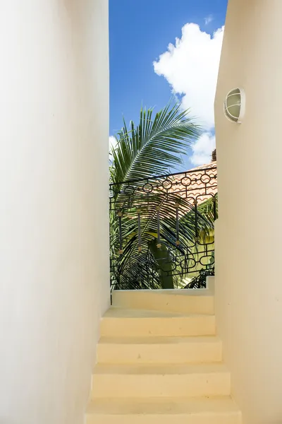 Hotel Sol Playa hotel detail image 2