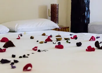 Moonshine Hotel hotel thumbnail 8