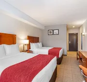 Comfort Inn & Suites hotel detail image 7