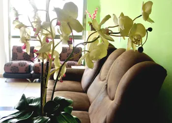 Calma Chicha Rooms hotel thumbnail 6