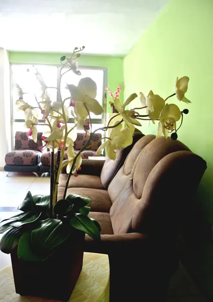 Calma Chicha Rooms hotel detail image 6