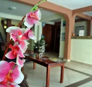 Calma Chicha Rooms hotel detail image 7