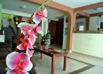 Calma Chicha Rooms hotel thumbnail 7
