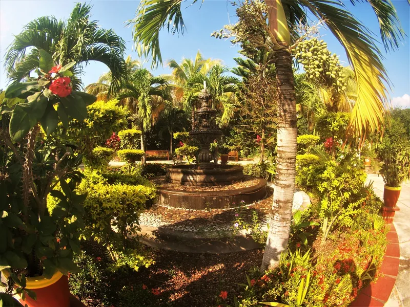 Quinta Comala hotel detail image 2