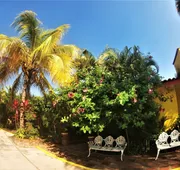 Quinta Comala hotel detail image 4