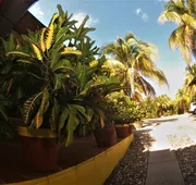 Quinta Comala hotel detail image 5
