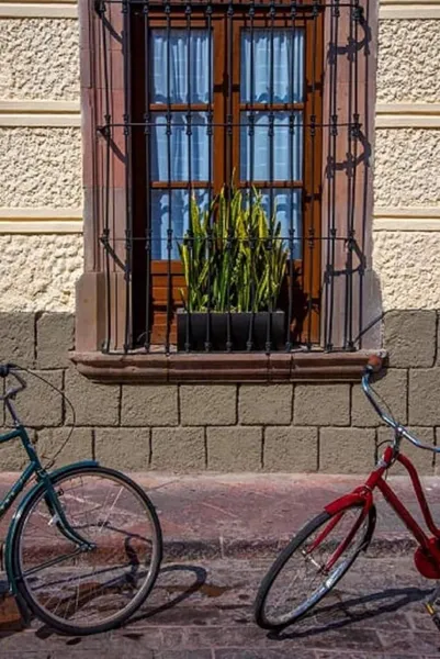 Casa Aspeytia Hotel Boutique hotel detail image 6