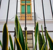 Casa Aspeytia Hotel Boutique hotel detail image 7