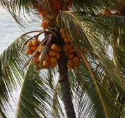Playa de Santiago Hotel hotel detail image 4
