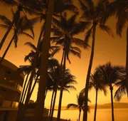 Vista Vallarta All Suites on the Beach hotel detail image 3